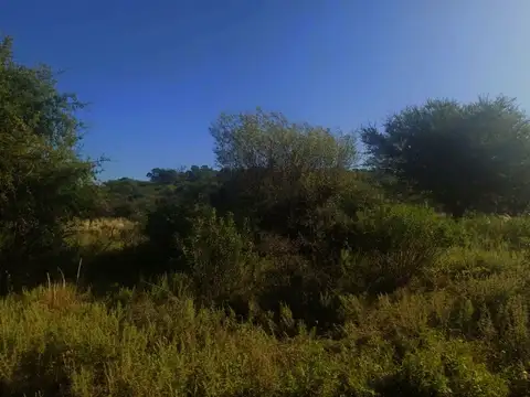 Vendo campo de 150 has con costa de río San Gregorio, camino a San Marcos