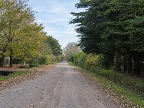 Corzuela 700