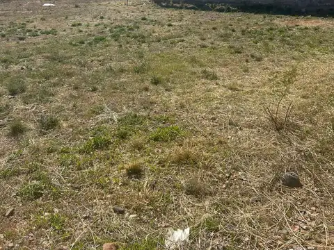 Terreno en Venta de 1200,0 m2