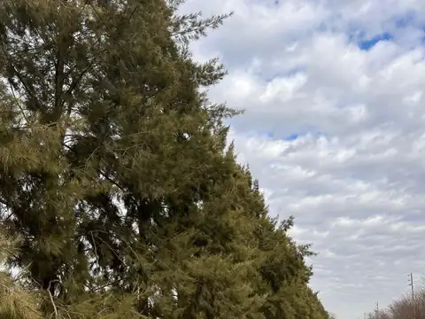 Terreno en Venta de 1450,0 m2