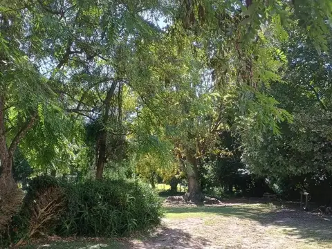 29 e/ Avenida 122 y 123