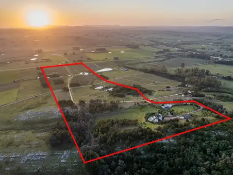 Chacra de 22 ha. en Laguna del Sauce 100