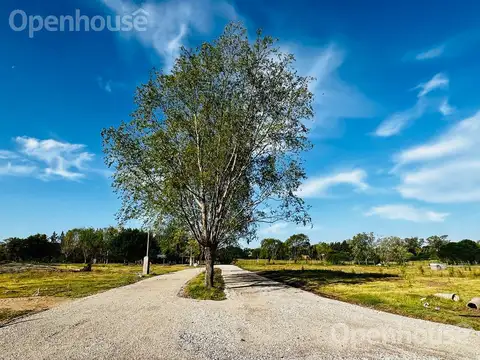 Venta Lote en  Lomas de  Manzanares