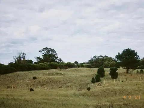 Terreno en venta - 1700Mts2 - Lobería