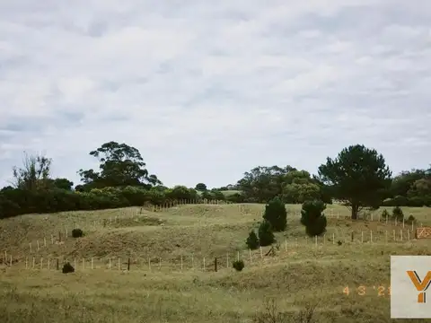 Terreno en venta - 1700Mts2 - Lobería