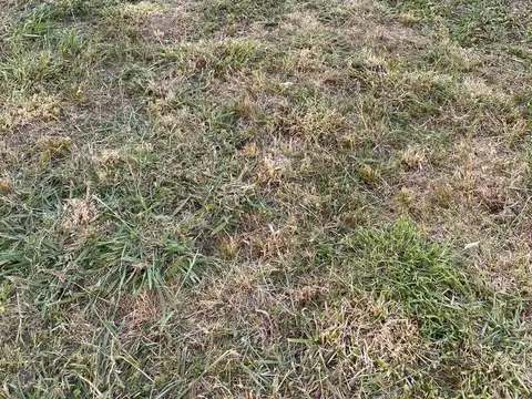 Terreno en Venta 10  mts Frente