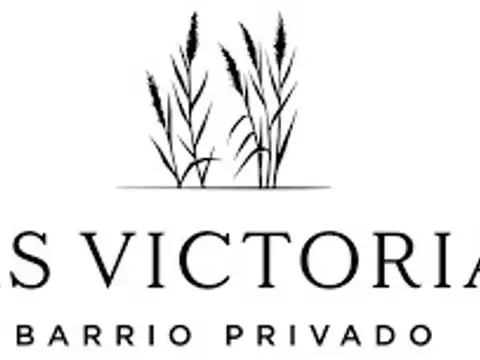 Consultar dirección