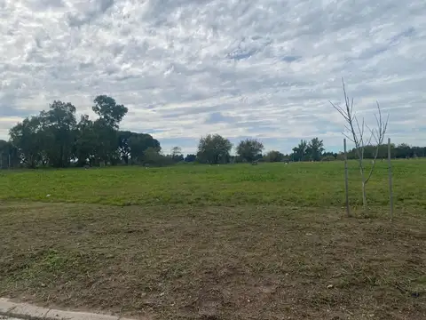 Terreno en Venta de 378,0 m2