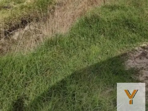 Ruta Provincial 47