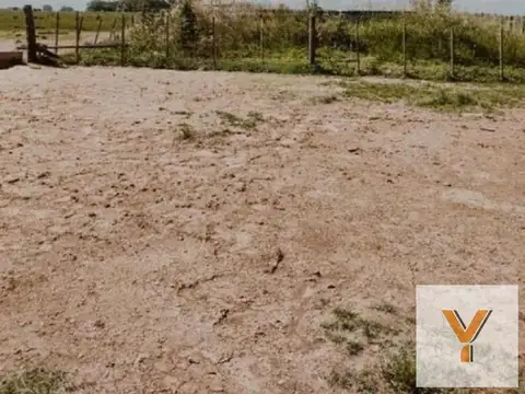 Campo en Venta en Gonzalez Risos, Partido de Navarro