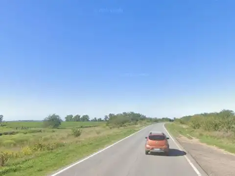 Campo en venta - 173 Hectáreas - Gonzalez Risos