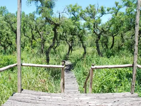 Terreno en Venta en Delta del Tigre, USD 50.000