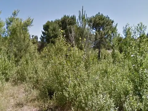 Lote en venta de 700m2 ubicado en Las Gaviotas