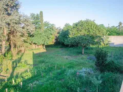 Terreno en  Ramallo