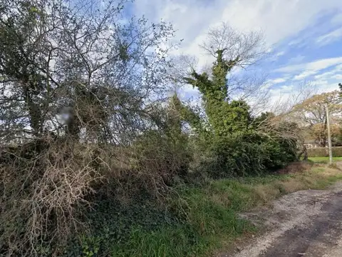 Rio de La Plata y Ruta provincial 226