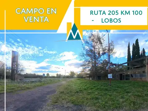 48 HAS EN VENTA - LOBOS