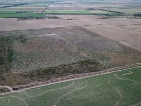 Campo - Santiago Del Estero