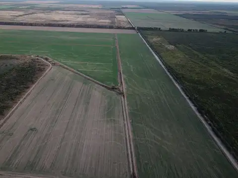 Campo - Santiago Del Estero