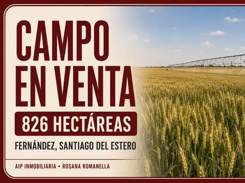 Campo - Santiago Del Estero