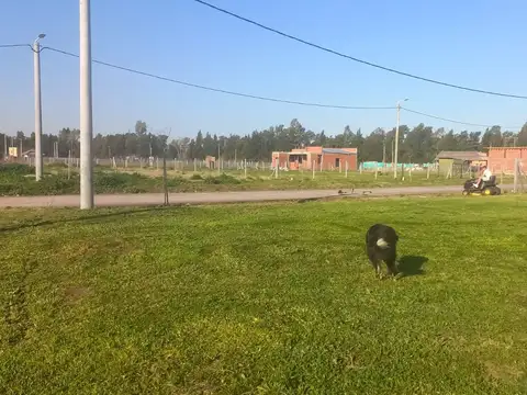 Terreno en venta en Los Cardales Chico