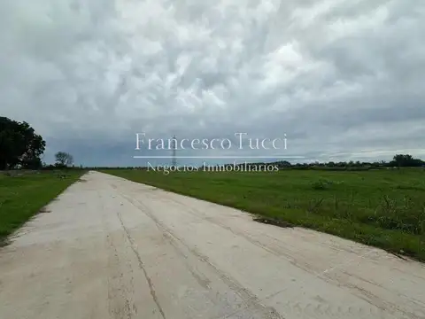 Ruta Provincial 24  2500