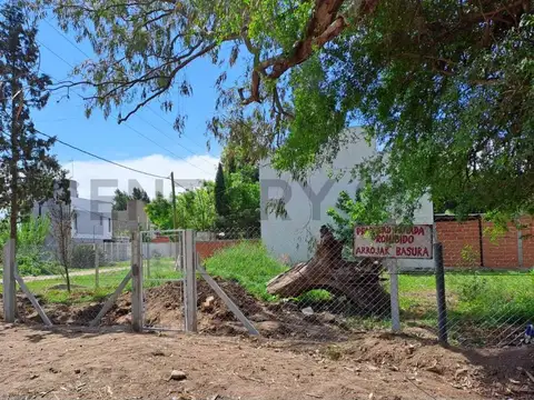 Terreno en Venta en Arturo Segui, USD 15.000