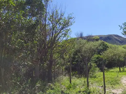 4 hectareas Villa Elena Cortaderas San Luis Venta