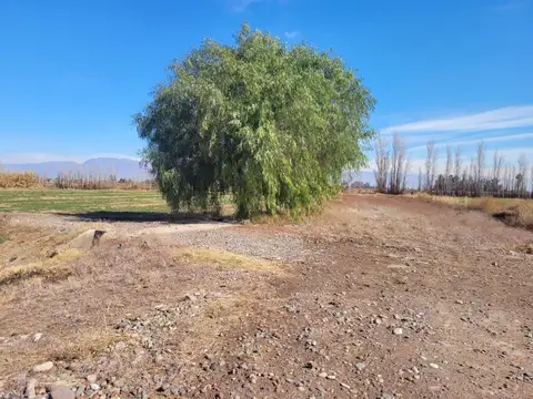Terreno en Venta en El Molino, USD 825.000
