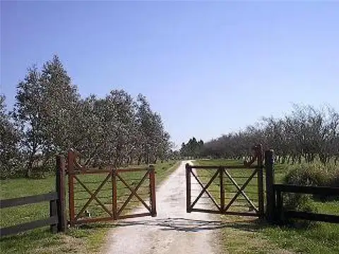 ruta 41, BENQUERENCIA 100