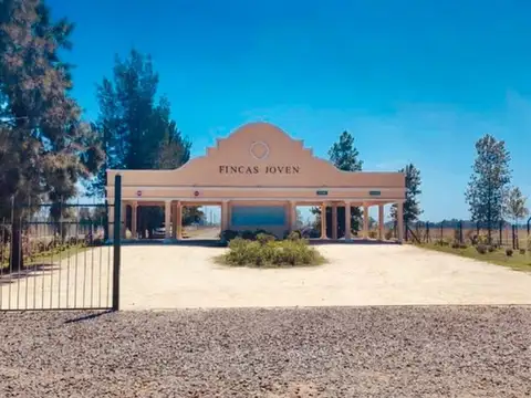 VENTA LOTE FINCAS JOVEN EN SAN VICENTE 620 MTS.