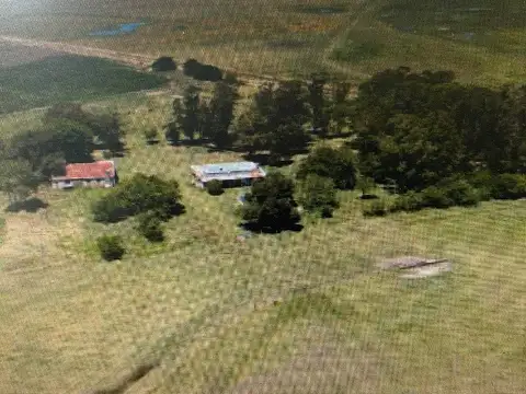 546 HECTAREAS EN GENERAL LAVALLE 12 KM DE MAR DE AJO