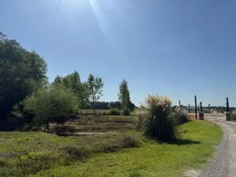 Terreno en Venta de 2000,0 m2