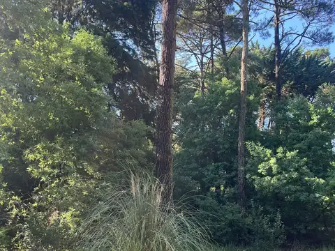 Terreno en venta en Carilo