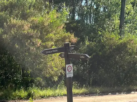 Terreno en Venta en Carilo, USD 107.000