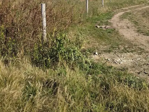 VENTA LOTE INDUSTRIAL - 5011  m2 MALVINAS ARG