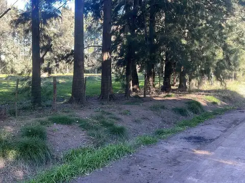 Terreno en Venta de 2813,0 m2
