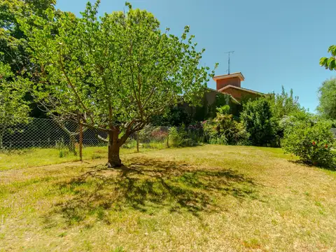 Terreno en Venta 36  mts Fondo