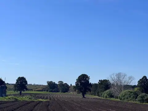 Venta de Chacra de 11 hectáreas Montevideo rural
