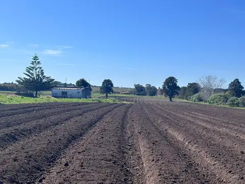 Camino O'Higgins 8700