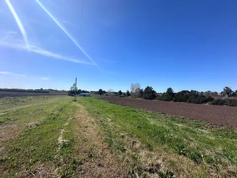 Venta de Chacra de 11 hectáreas Montevideo rural