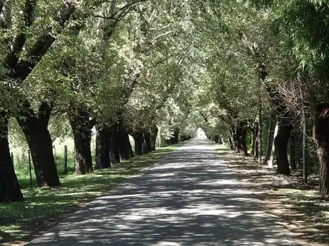 Terreno en Venta en Larena Country Club, USD 24.000