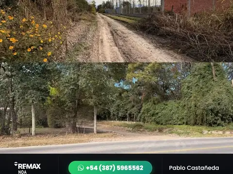 Cerrillos. Las Blancas. Ruta 23. Lote 100