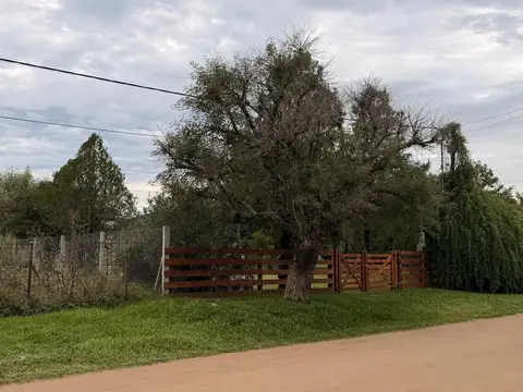 Terreno en Pueblo Liebig