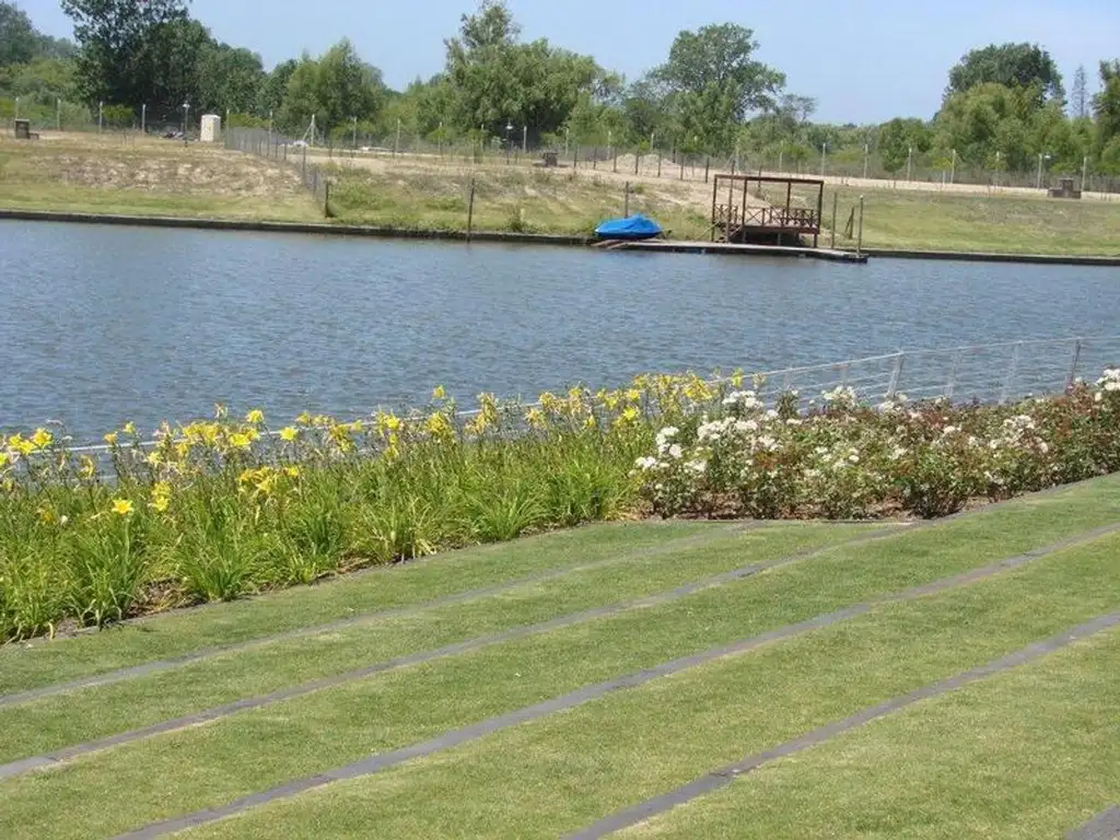 Albanueva - Tigre  - Foto 15