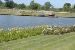 Albanueva - Tigre  - Foto 15