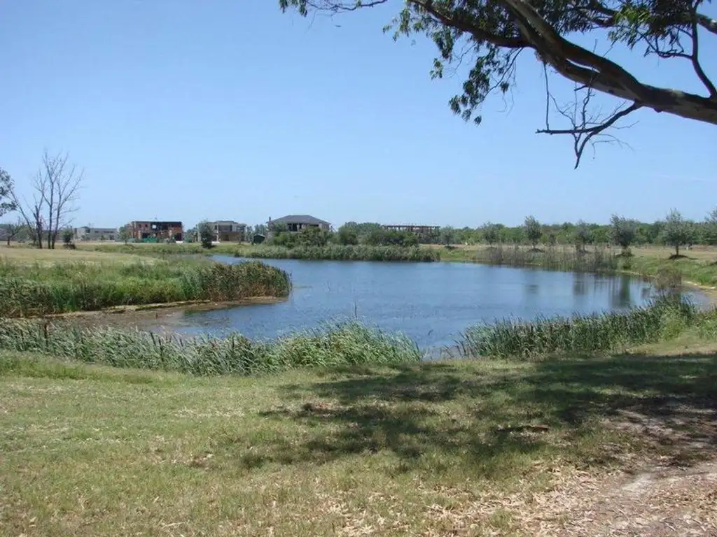 Albanueva - Tigre  - Foto 16