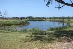 Albanueva - Tigre  - Foto 16