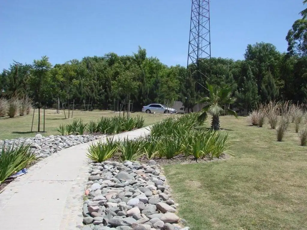 Albanueva - Tigre  - Foto 19