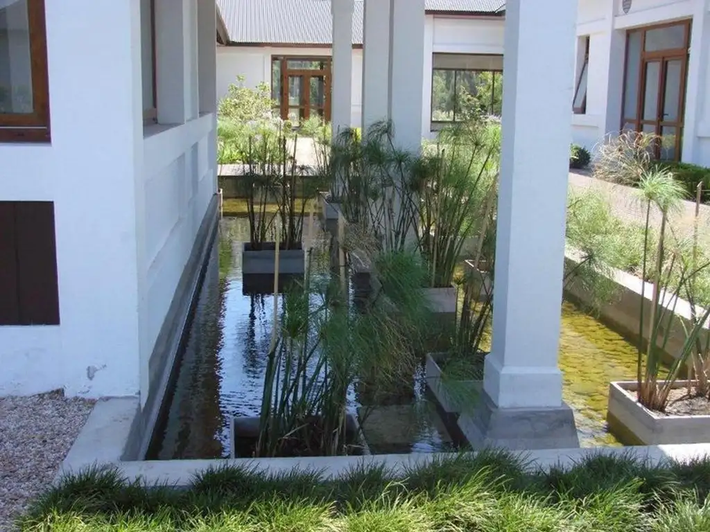 Albanueva - Tigre  - Foto 11