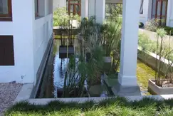 Albanueva - Tigre  - Foto 11